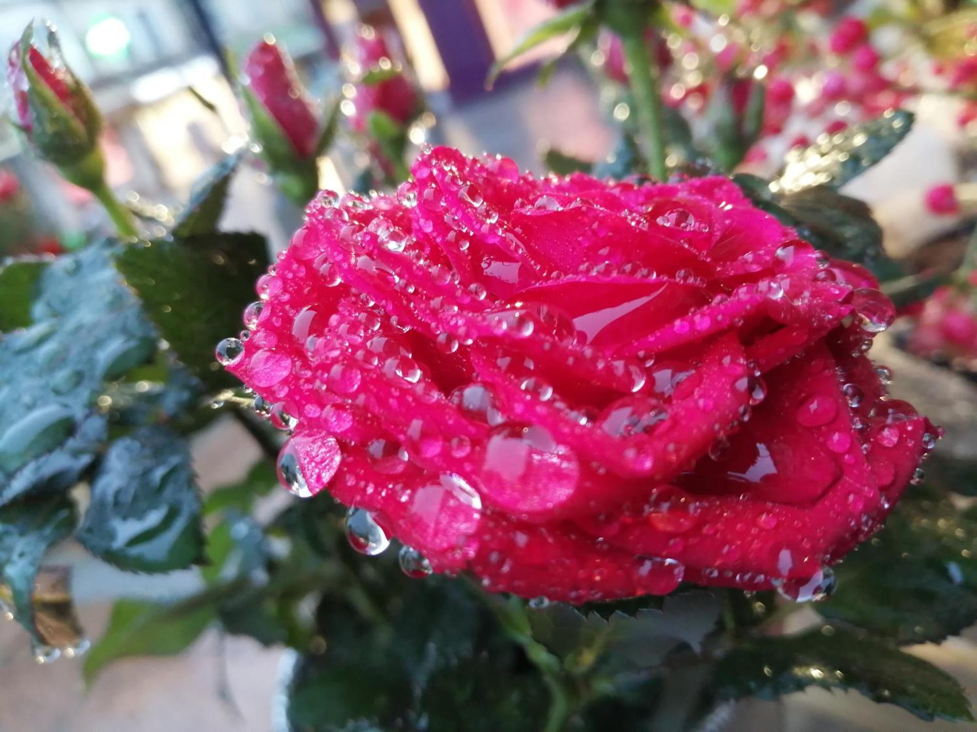Ma Gentilhommiere Bed & Breakfast Croutoy Dış mekan fotoğraf