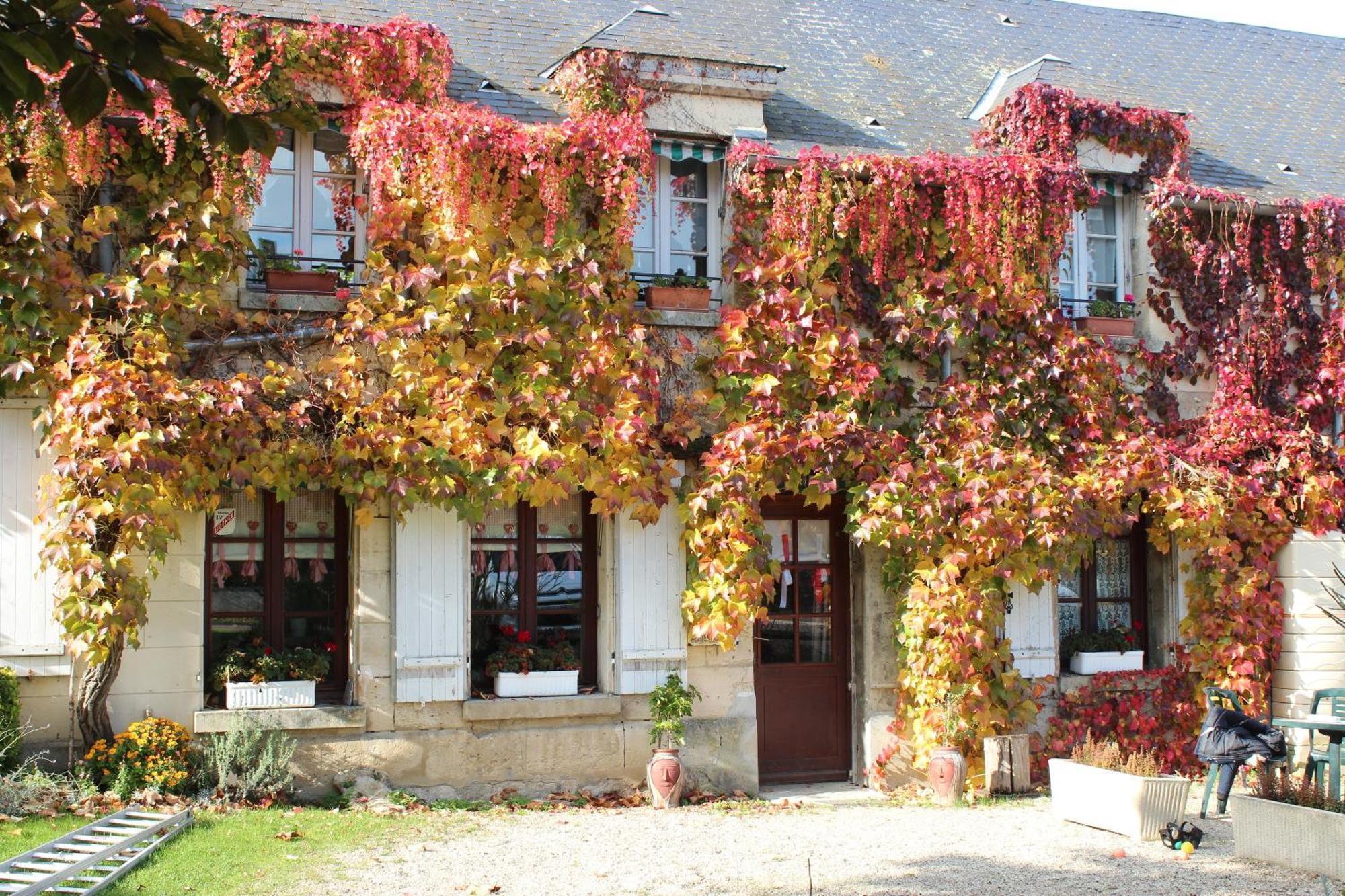 Ma Gentilhommiere Bed & Breakfast Croutoy Dış mekan fotoğraf